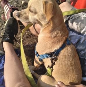 Meet your Posher, Chastity